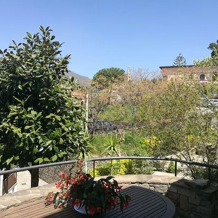 La Menina Celso