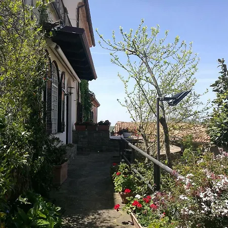 La Menina Celso