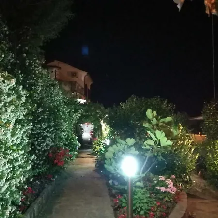 La Menina *